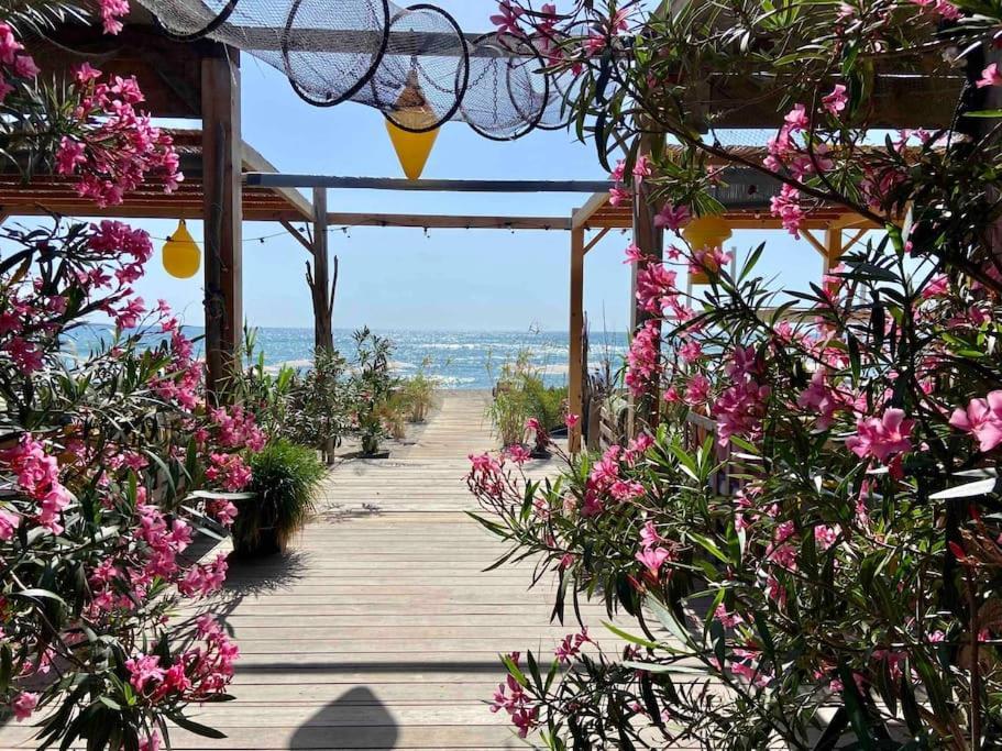 Les Voiles Blanches T2 Luxe A 100M De La Plage Leucate Luaran gambar