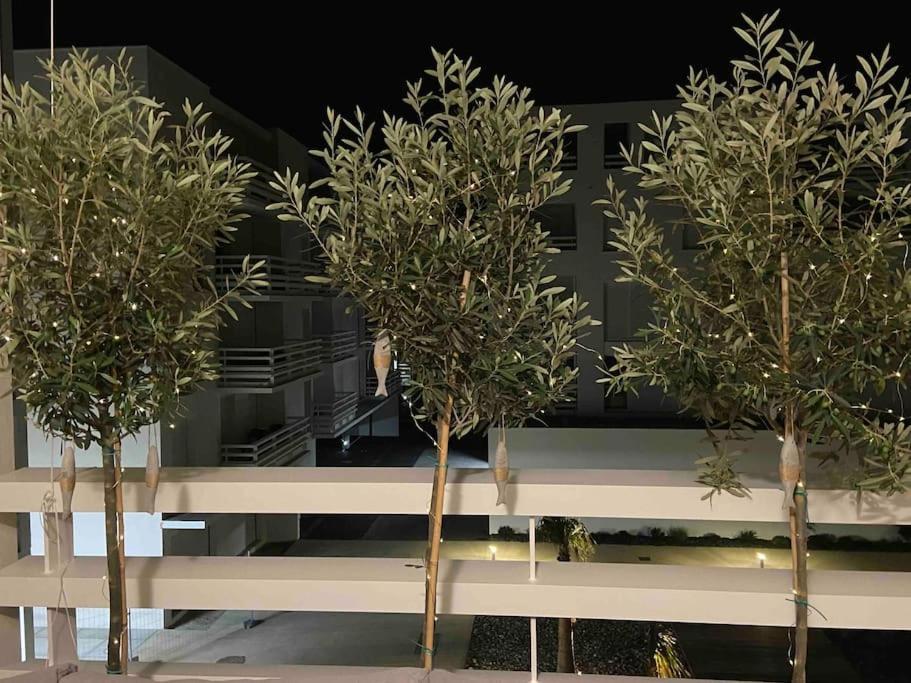 Les Voiles Blanches T2 Luxe A 100M De La Plage Leucate Luaran gambar